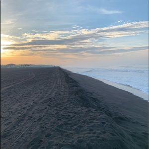 Meet your Posher, Addison